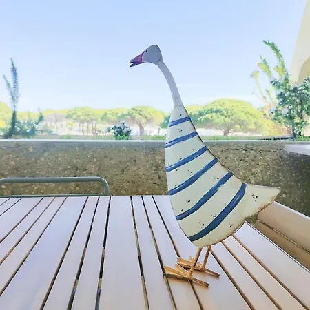 Le Cosy Les Pieds Dans L'Eau Apartment Le Grau-du-Roi Exterior photo
